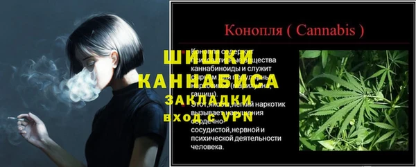 молекула духа Заволжье