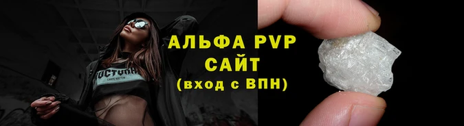 СК Зерноград