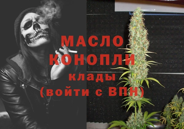 дживик Дмитриев