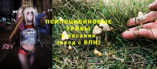 трава Дмитров