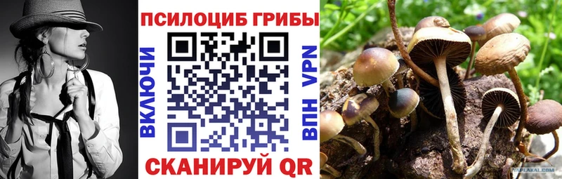 Купить закладки  Любань  Псилоцибиновые грибы MAGIC MUSHROOMS 